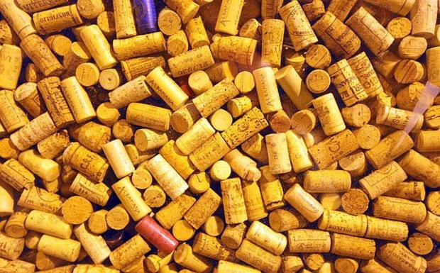 פנסיון Blueberry Rooms