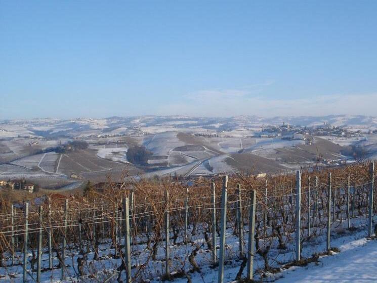 פנסיון Blueberry Rooms