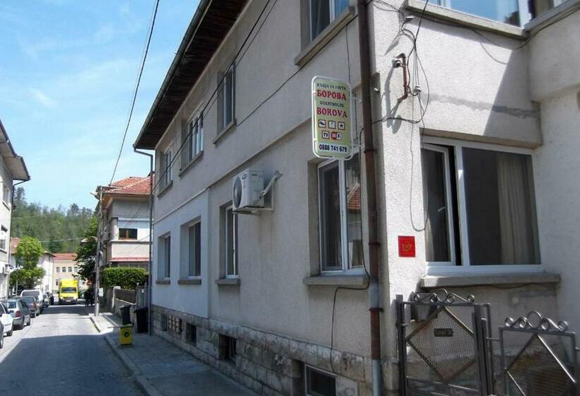 פנסיון Borova House