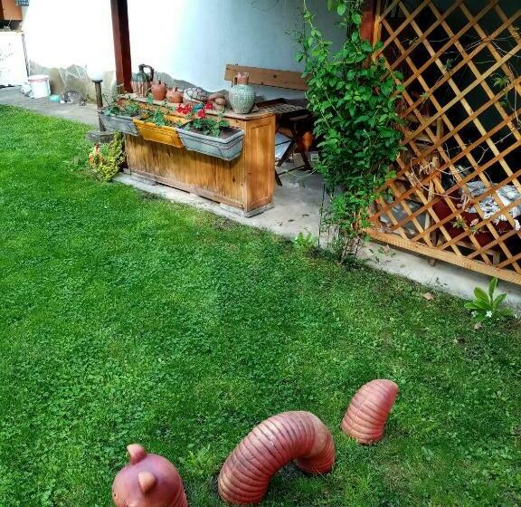 פנסיון Borova House