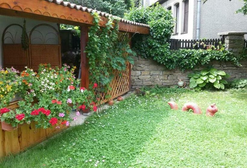 פנסיון Borova House