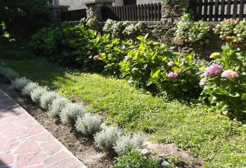 פנסיון Borova House