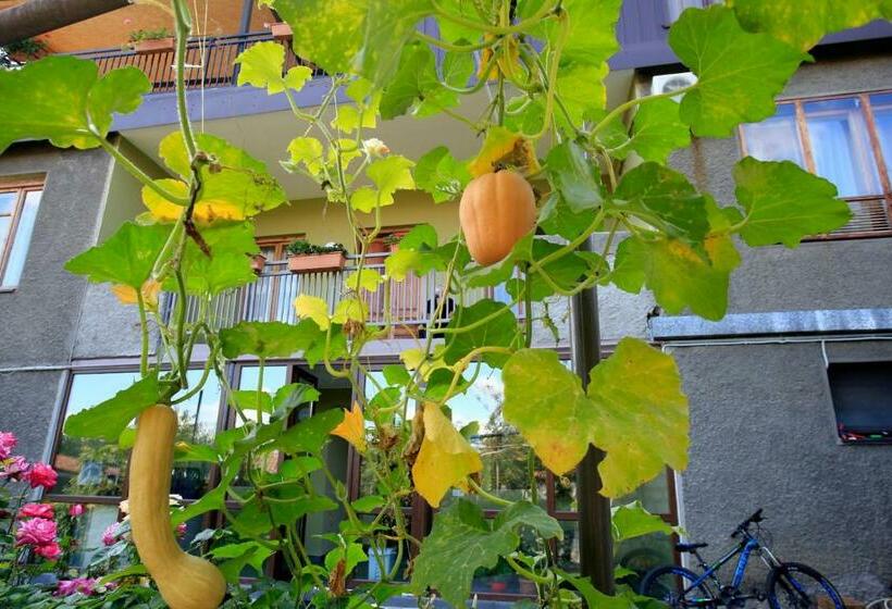 پانسیون Bucha`s Guest House & Wine Cellar