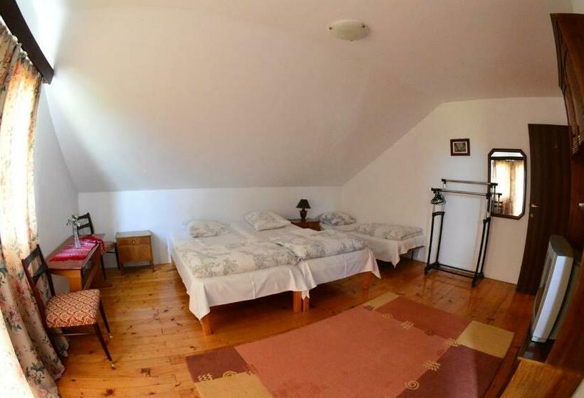 Пансион Casa Altius Felix