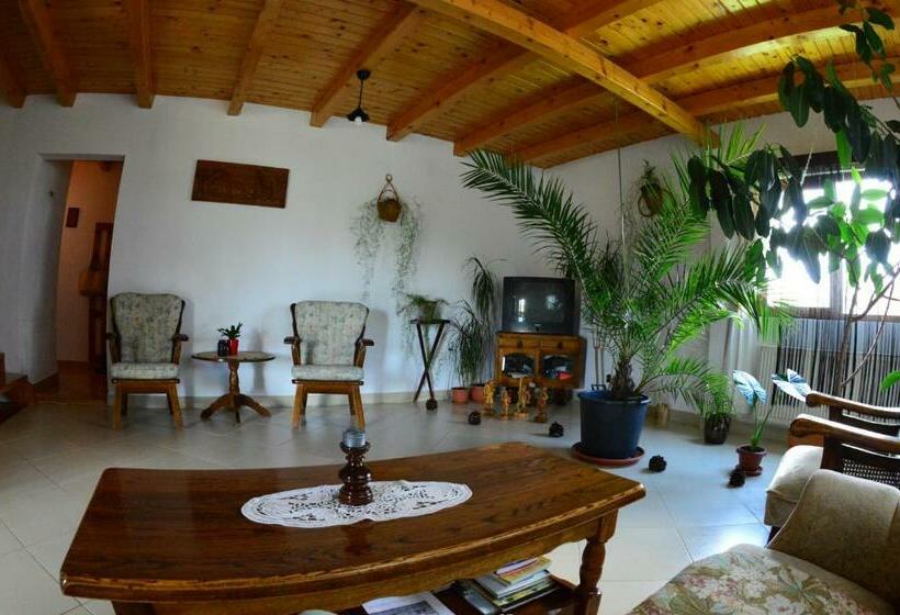 Пансион Casa Altius Felix