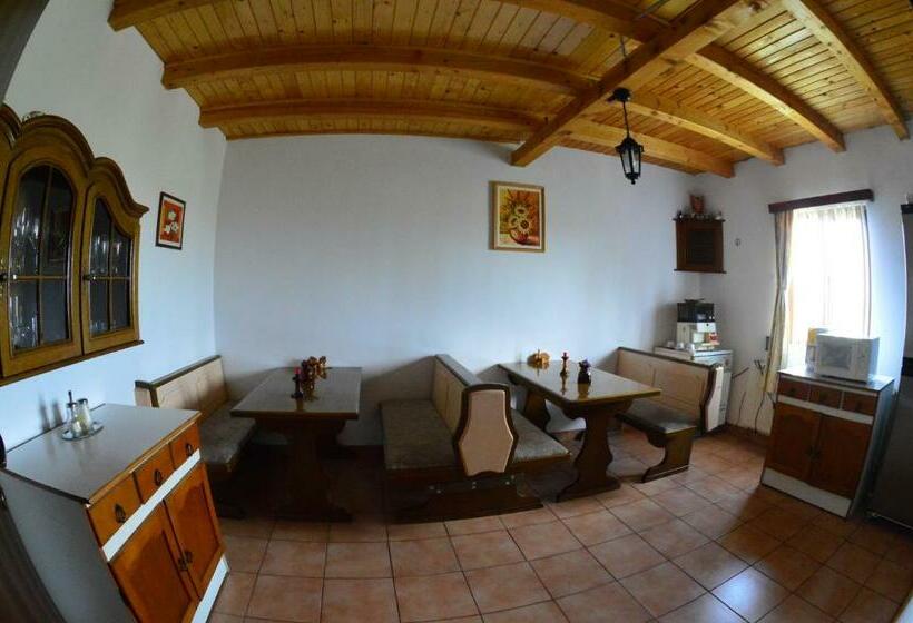 Пансион Casa Altius Felix