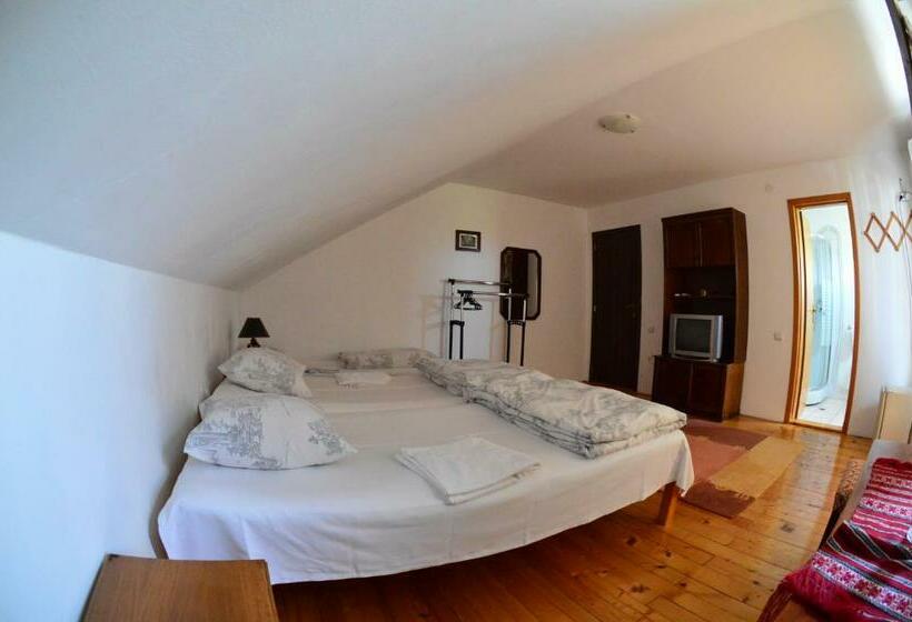 Пансион Casa Altius Felix