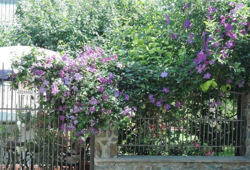 פנסיון Casa La Musteata