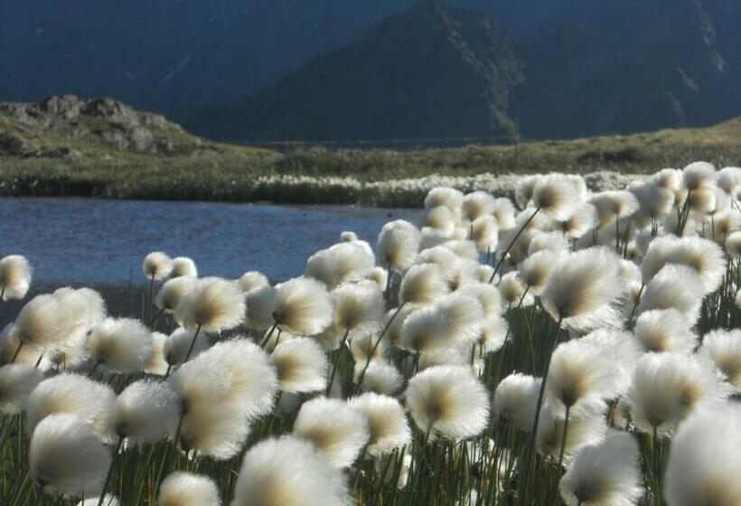 پانسیون Casa Paola