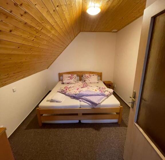 펜션 Chata Boubín