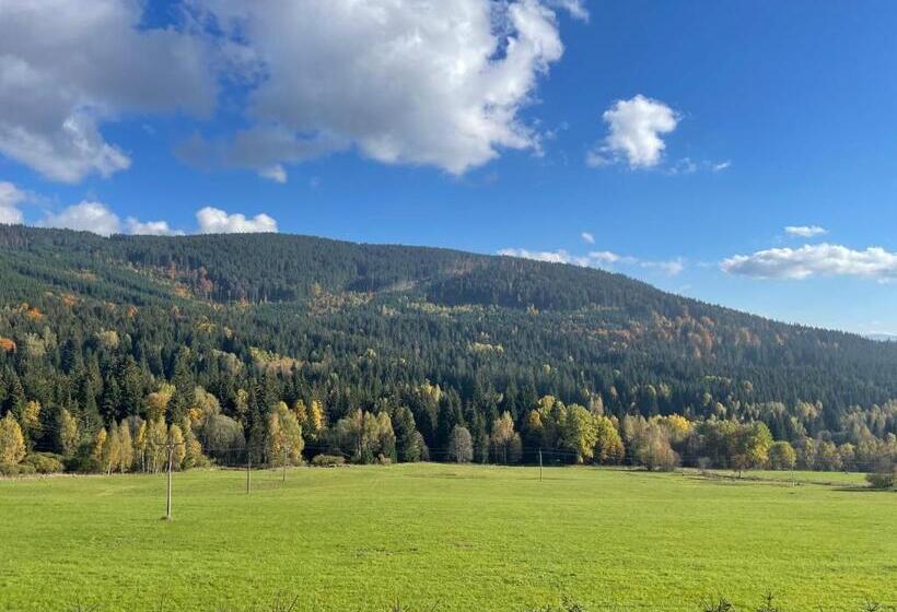 펜션 Chata Boubín