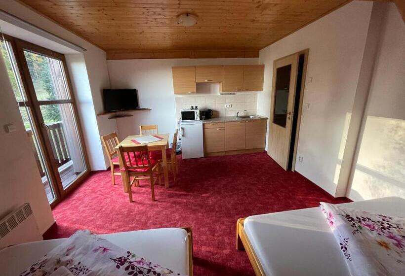 펜션 Chata Boubín