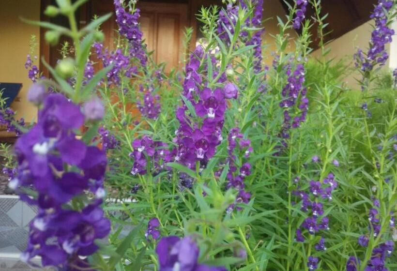 Пансион Dinoyin Bungalows