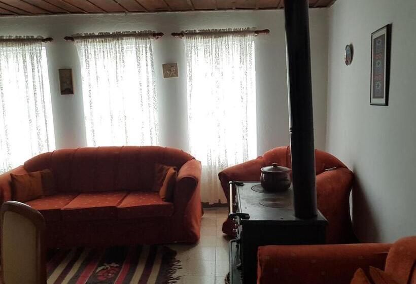 بنسيون Eva Guesthouse