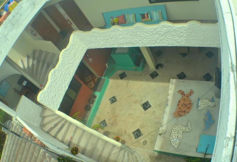 پانسیون Hostal Cattleya