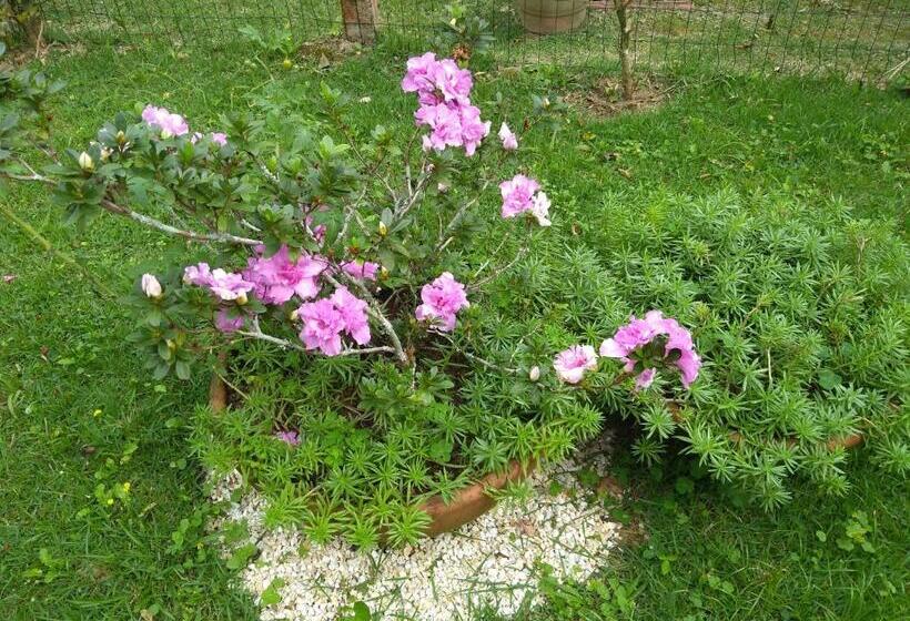 膳宿费 Kitnet E Suite Morada Aguiar   Chalé