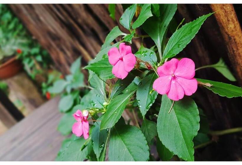 膳宿费 Kitnet E Suite Morada Aguiar   Chalé