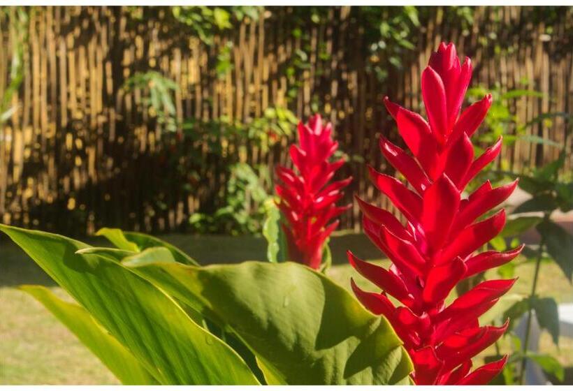 膳宿费 Kitnet E Suite Morada Aguiar   Chalé