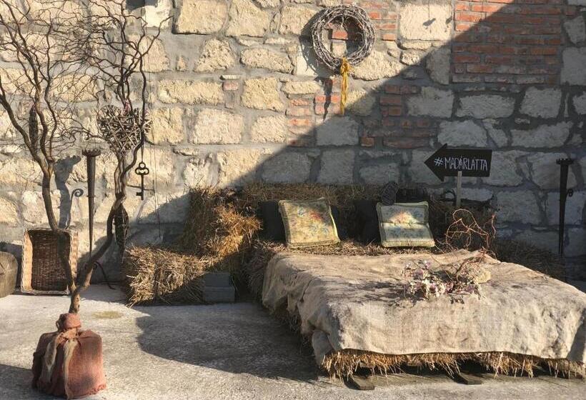 펜션 Madárlátta Vendégház