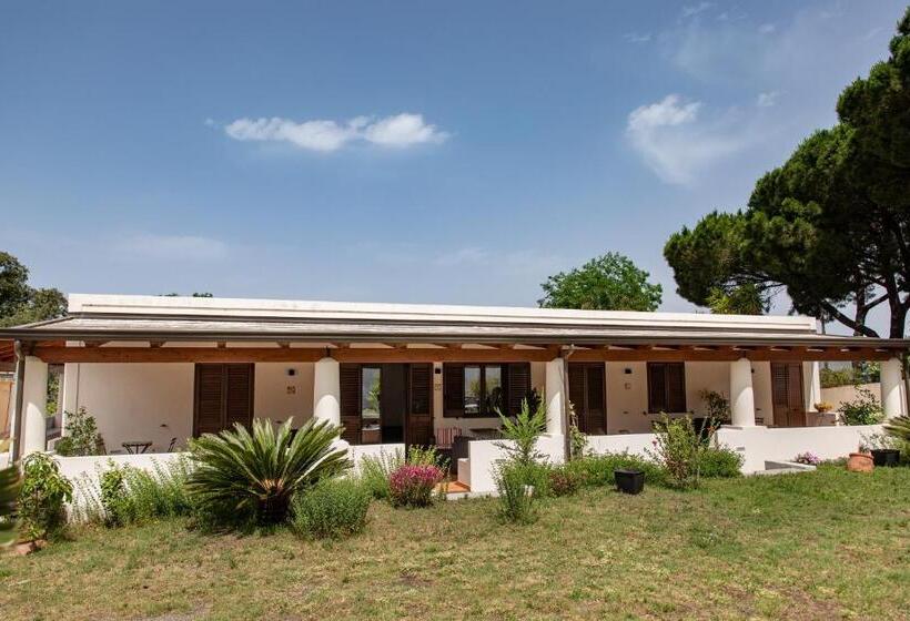 بنسيون Maria Tindara La Locanda