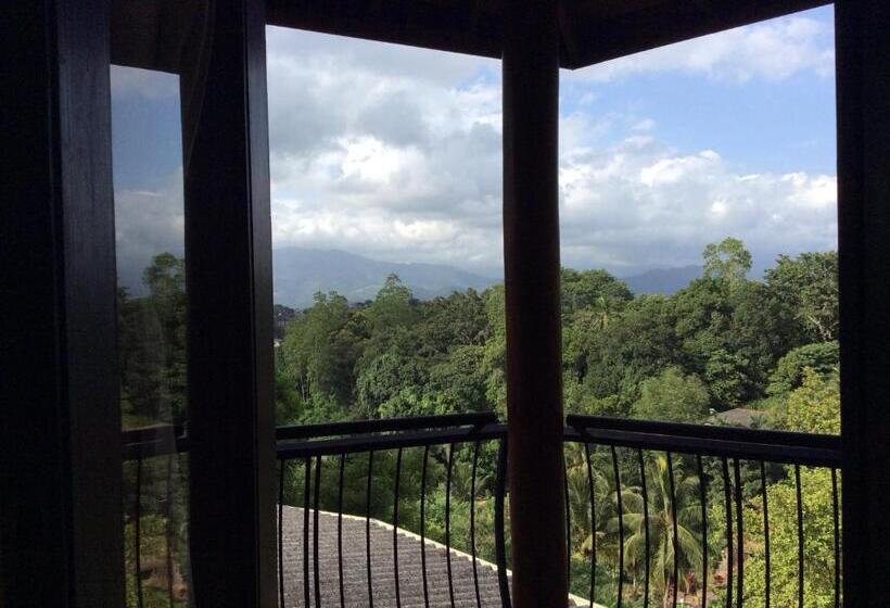 膳宿费 Mount Haven