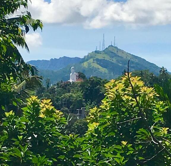 膳宿费 Mount Haven