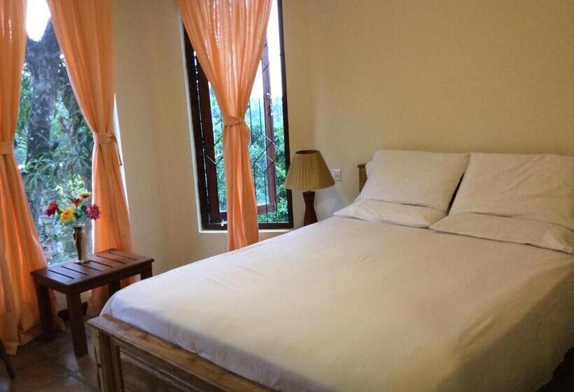 膳宿费 Mount Haven