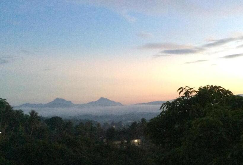 膳宿费 Mount Haven