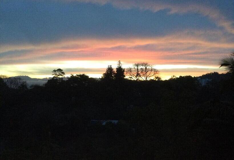 膳宿费 Mount Haven