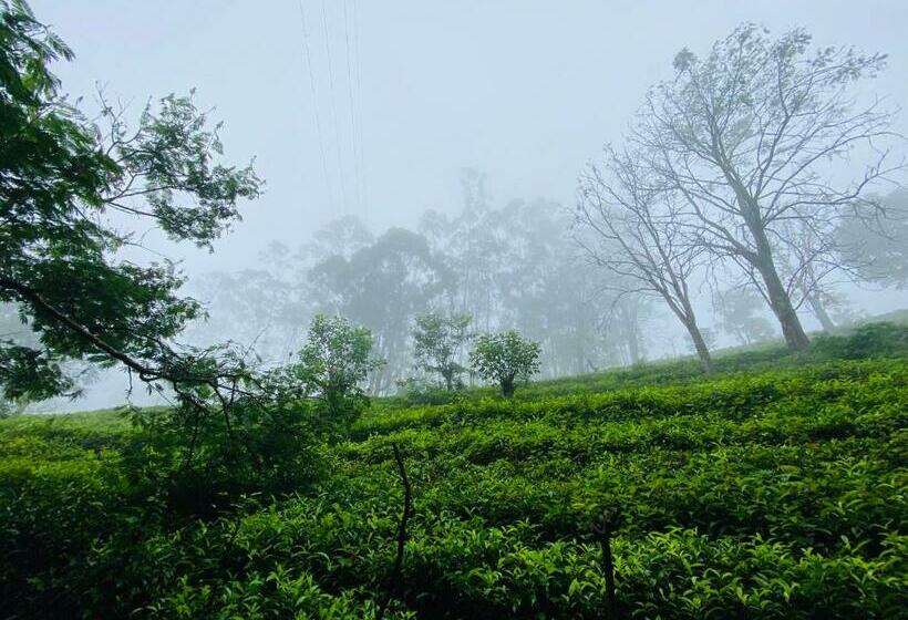 פנסיון Niwasa House