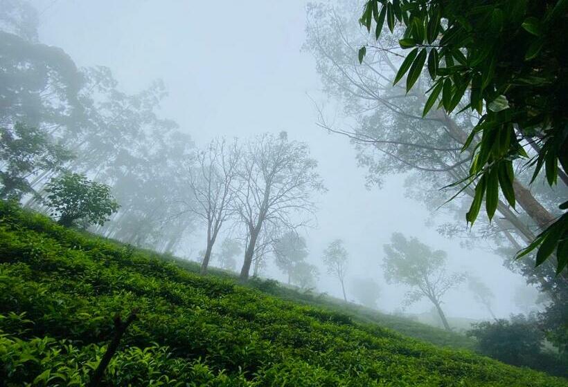 פנסיון Niwasa House