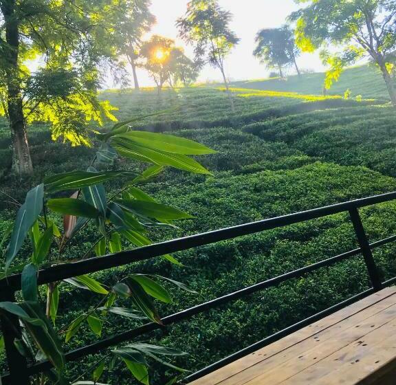 פנסיון Niwasa House