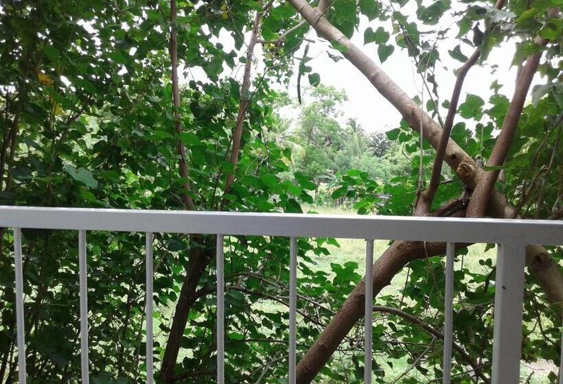 פנסיון Oudarya Guest