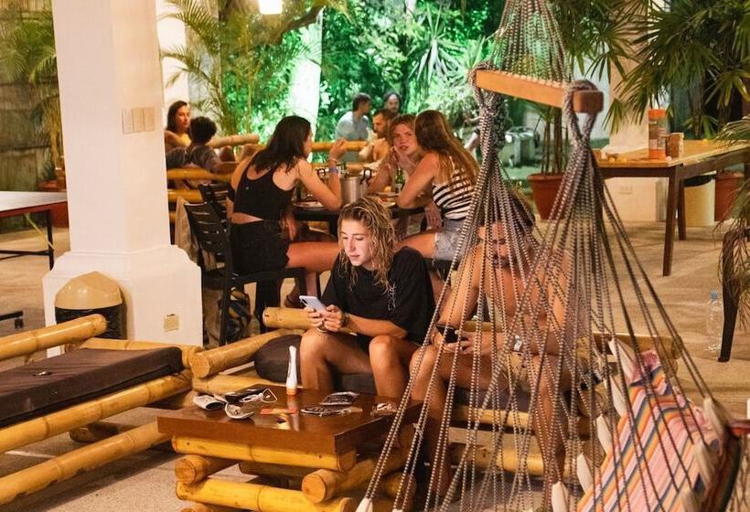 بنسيون Paradise Project Hostal