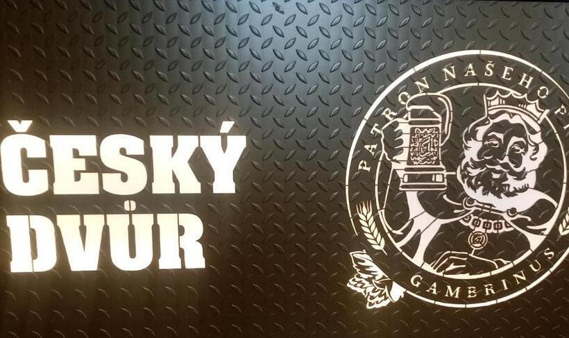 פנסיון Penzion český Dvůr