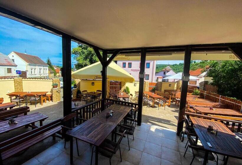 פנסיון Penzion český Dvůr