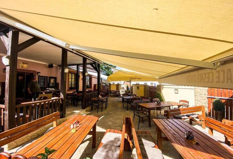 پانسیون Penzion český Dvůr