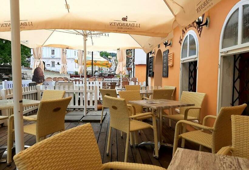 펜션 Penzion  Restaurant U Zámku