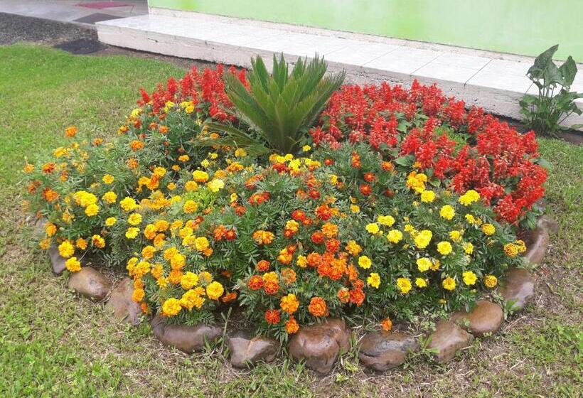 پانسیون Pousada Viva Serra