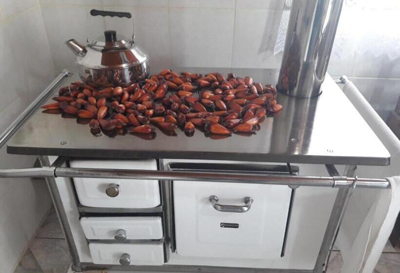 膳宿费 Pousada Viva Serra