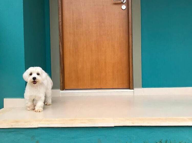 פנסיון Recanto Das Tiribas