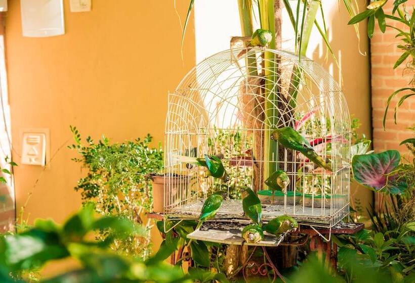 פנסיון Recanto Das Tiribas