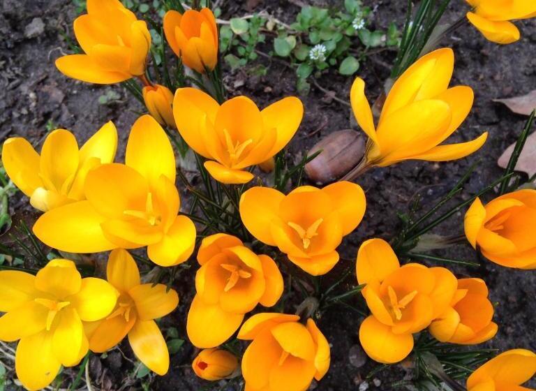 بنسيون öregtölgy Panzio