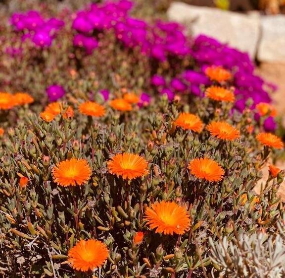 Пансион Senteurs Du Maquis