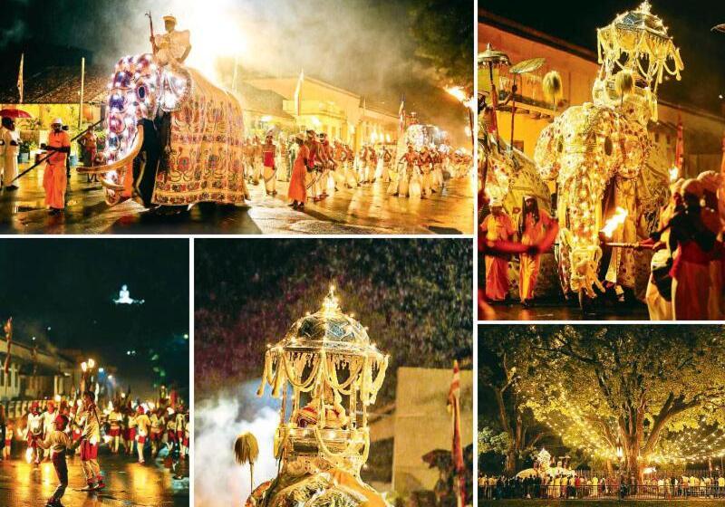 膳宿费 Shani Residence Kandy