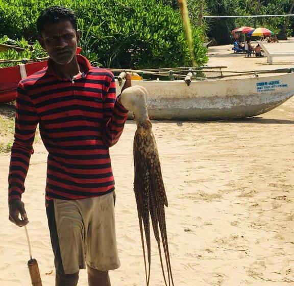 Пансион Singhe House