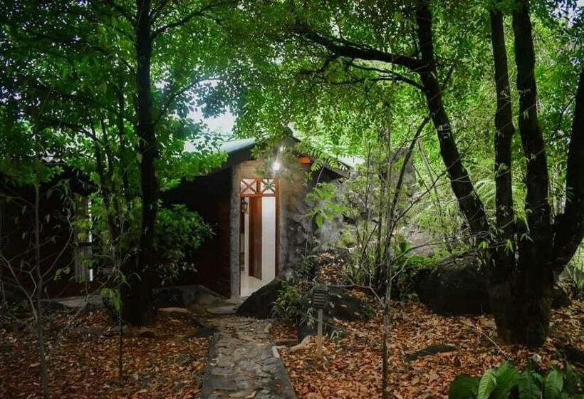 بنسيون Sinharaja Rest