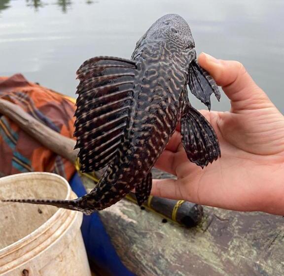 بنسيون Splendid Lake View Safari Lodge