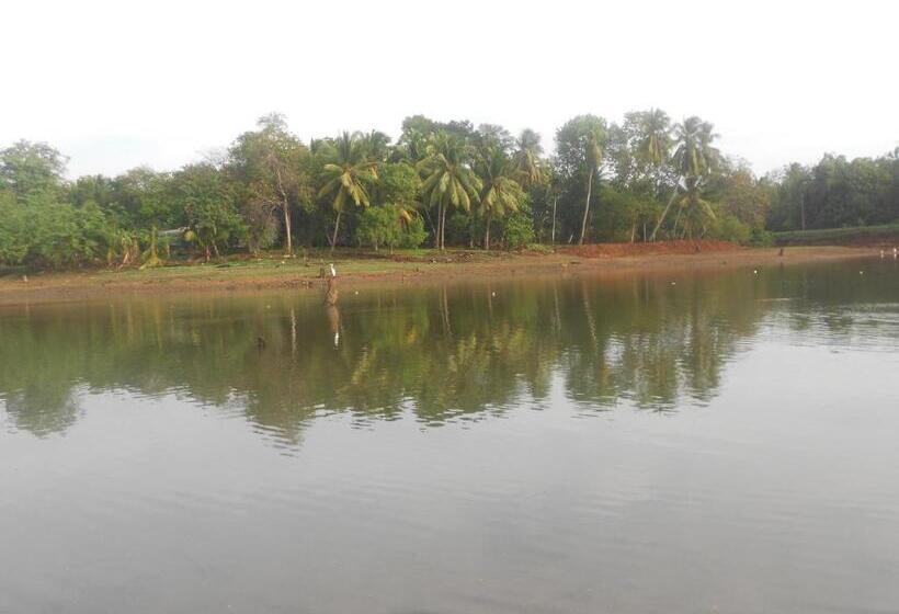 פנסיון Splendid Lake View Safari Lodge