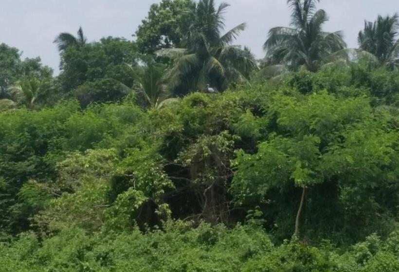 פנסיון Sunhill Lake Tourist Rest